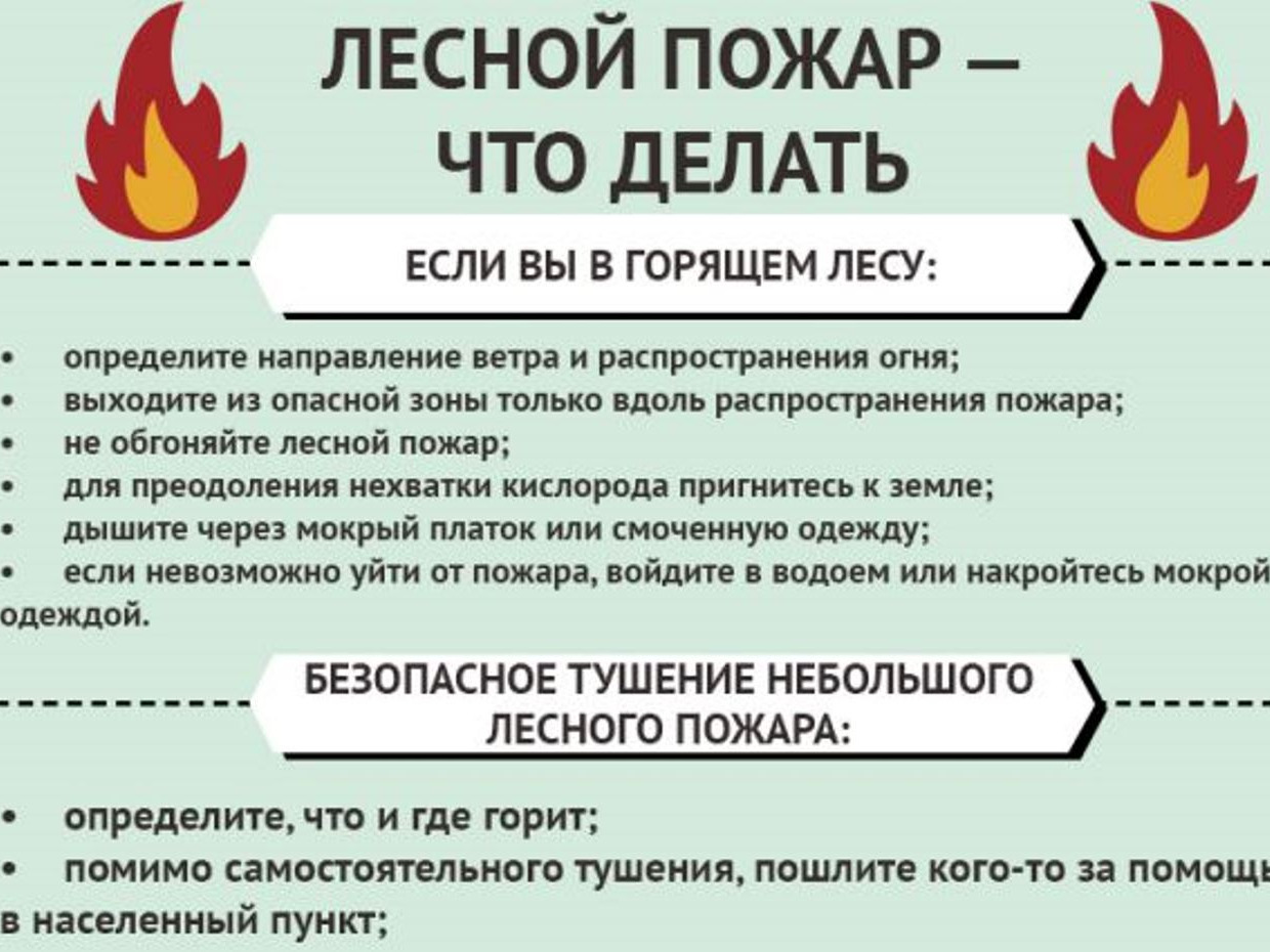 Рассматриваем ситуацию, когда лес горит, возле вашей дачи (дома) или где-то далеко.